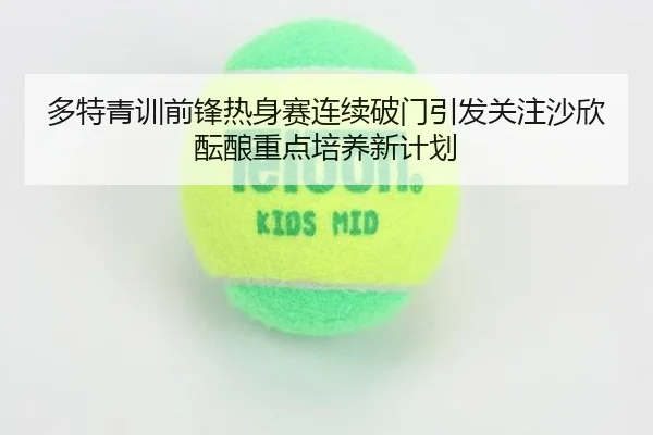 多特青训前锋热身赛连续破门引发关注沙欣酝酿重点培养新计划